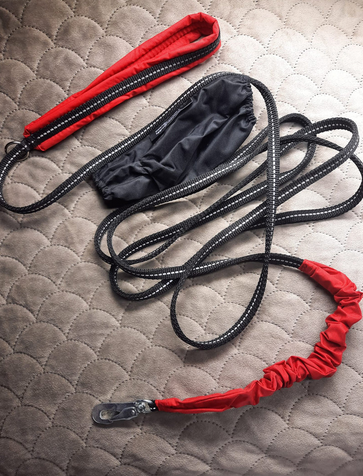 ALE integroitu hihna pienille koirille